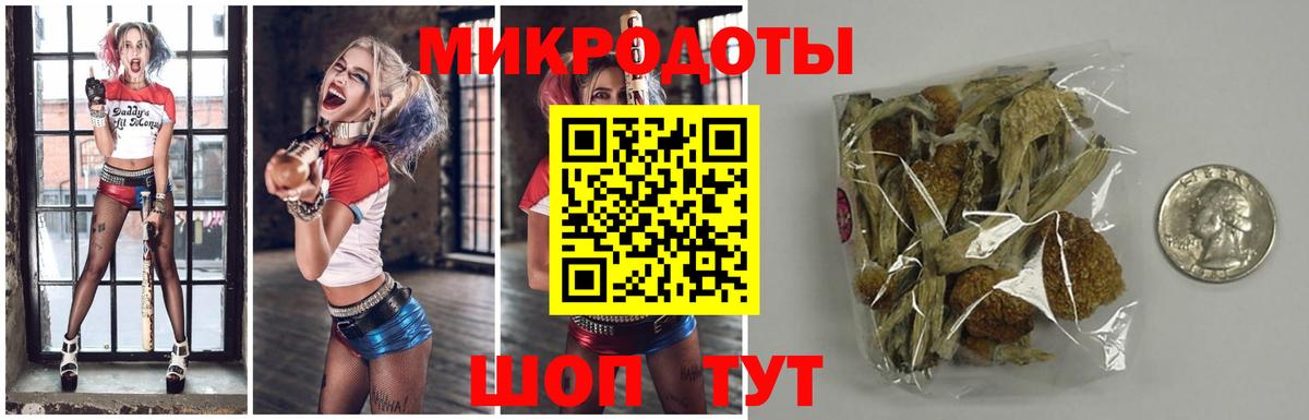 Псилоцибиновые грибы Psilocybe  наркотики  Кудрово  Вход с VPN 